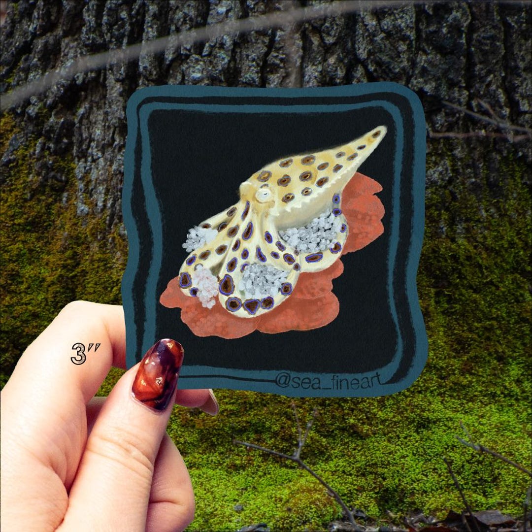 Greater Blue-ringed Octopus - October Sticker - Original Artwork - Etsy
