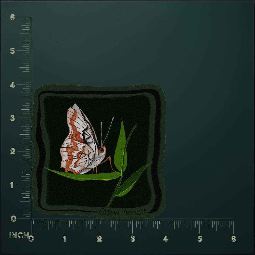 Indian Paint Stone Moth Sticker - Metamorphic Minifauna - Original ...