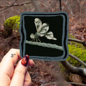 Moss Agate Dragonfly Sticker - With Border - Metamorphic Minifauna - Original Artwork