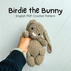 Patrón de conejito amigurumi en PDF - Conejito de peluche Birdie - Animalito del bosque - Bordado de ojos
