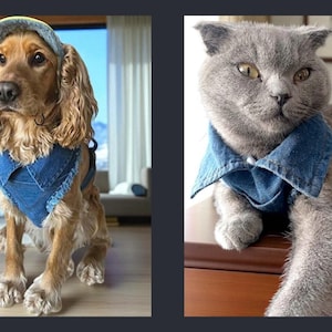 Adjustable Denim Dog Harness Vest Jacket for Small and Medium Dogs and Cats image 18