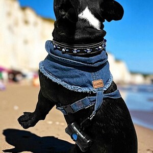 Adjustable Denim Dog Harness Vest Jacket for Small and Medium Dogs and Cats image 6
