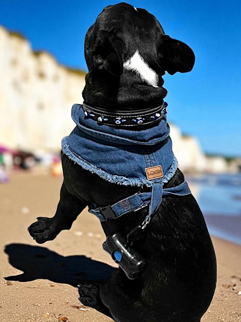 Adjustable Denim Dog Harness Vest Jacket for Small and Medium Dogs and Cats image 6