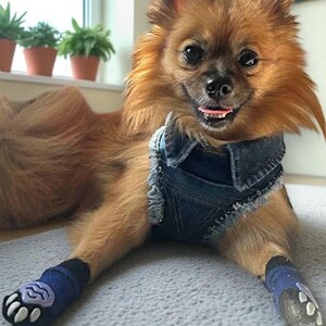 Adjustable Denim Dog Harness Vest Jacket for Small and Medium Dogs and Cats image 7