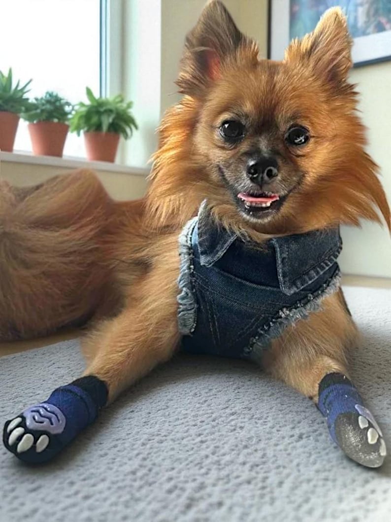 Adjustable Denim Dog Harness Vest Jacket for Small and Medium Dogs and Cats image 7