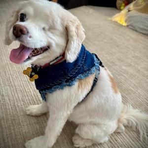 Adjustable Denim Dog Harness Vest Jacket for Small and Medium Dogs and Cats image 10