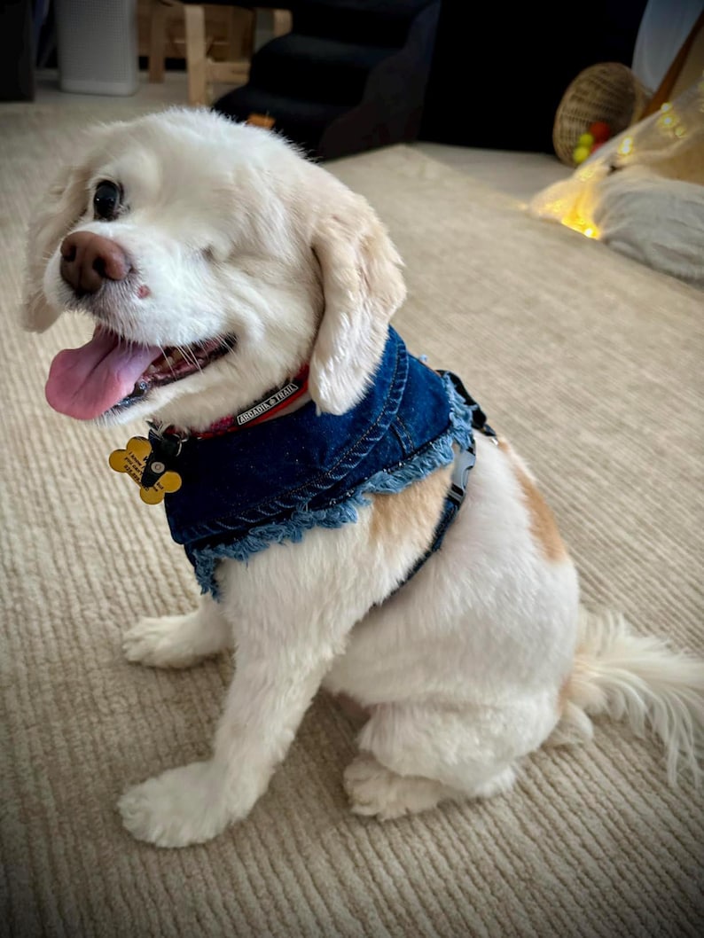 Adjustable Denim Dog Harness Vest Jacket for Small and Medium Dogs and Cats image 10
