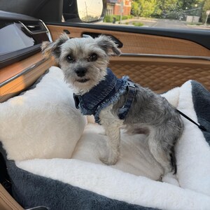 Adjustable Denim Dog Harness Vest Jacket for Small and Medium Dogs and Cats image 12