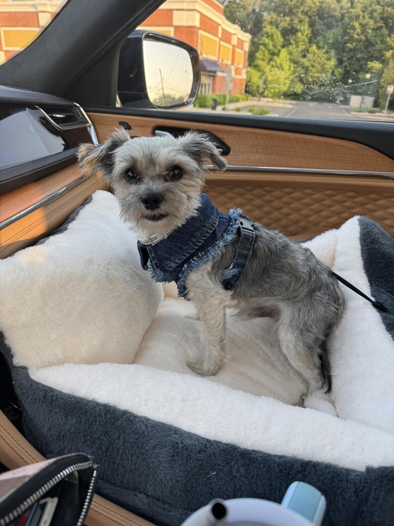 Adjustable Denim Dog Harness Vest Jacket for Small and Medium Dogs and Cats image 12