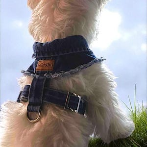 Adjustable Denim Dog Harness Vest Jacket for Small and Medium Dogs and Cats image 8