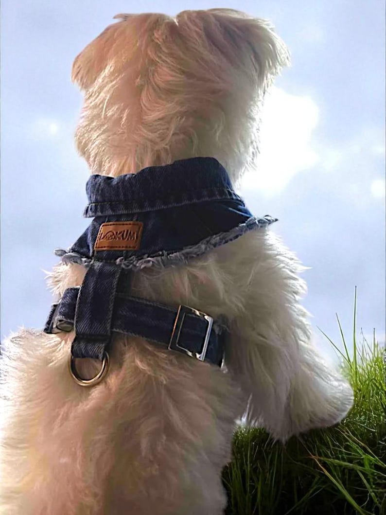Adjustable Denim Dog Harness Vest Jacket for Small and Medium Dogs and Cats image 8