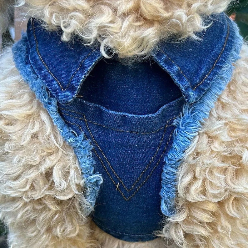 Dog Harness, Adjustable Bandana Collar, Harnais Chien 100% Handmade, Jean