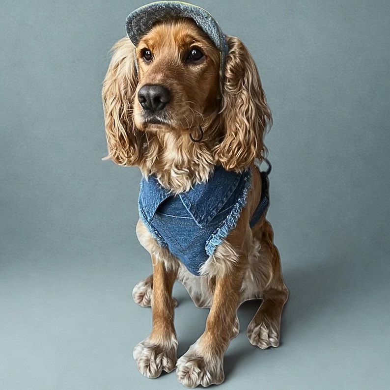 Adjustable Denim Dog Harness Vest Jacket for Small and Medium Dogs and Cats image 3