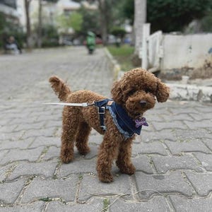 Adjustable Denim Dog Harness Vest Jacket for Small and Medium Dogs and Cats image 13