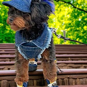 Adjustable Denim Dog Harness Vest Jacket for Small and Medium Dogs and Cats image 11