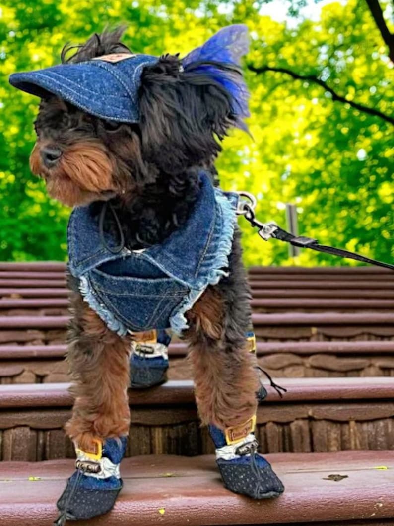 Adjustable Denim Dog Harness Vest Jacket for Small and Medium Dogs and Cats image 11