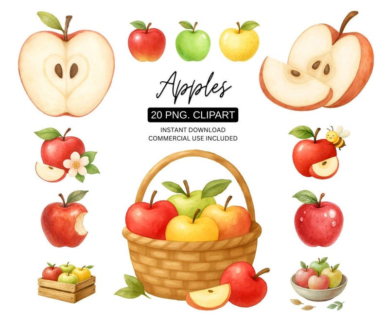 Apple Clipart Bundle | Red Green Yellow Apple PNG | Cute Fruit ...