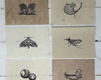 Nature Linocut Print | 5x7 Handmade Paper, Skull, Insect, Fungi, Flora