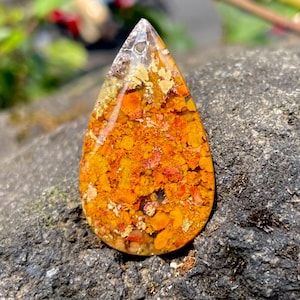 Plume Agate Cabochon | Rare Pattern