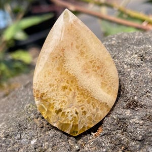 Plume Agate Cabochon | Soft Tones with Plume Pattern | Healing Crystal