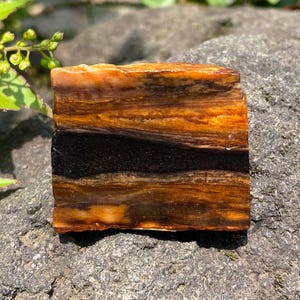 DALLE - Bois pétrifié pittoresque - Dalle de pierre fossile unique pour la fabrication de bijoux