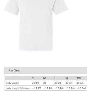 May include: A plain white short-sleeve t-shirt. The image includes a size chart with measurements in inches for body length and chest width, ranging from size S to 2XL.