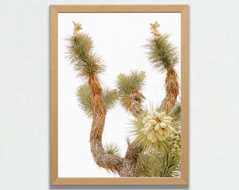 Joshua Tree California, Desert Landscape, Southwest Desert, Cactus Print, Desert Wall Art, California Desert, Joshua Tree Photography