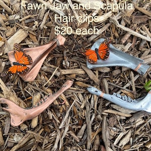 May include: Four hair clips shaped like deer jawbones and scapula bones. The bones are painted silver and copper. Each clip features a small orange butterfly. The text "Fawn Jaw and Scapula Hair Clips $20 each" is visible in the image.
