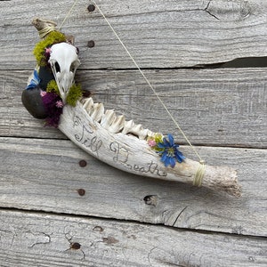 Custom Jaw Bone Art