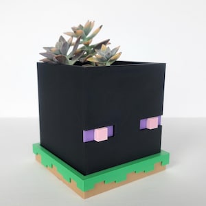 May include: Black cube-shaped planter with a green grass base and pink and purple eyes. A succulent plant is growing in the planter.