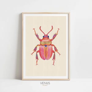 Beetle Wall Art, Insect Decor, Bug Print, Botanical Art, Insects & Bugs (Digital Download)