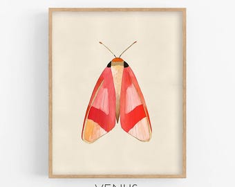 Colorful Moth Art print, Insect Illustration, Bug prints, Botanical illustration, Insect Kids room Decor, Insects & Bugs Prints, moth prints