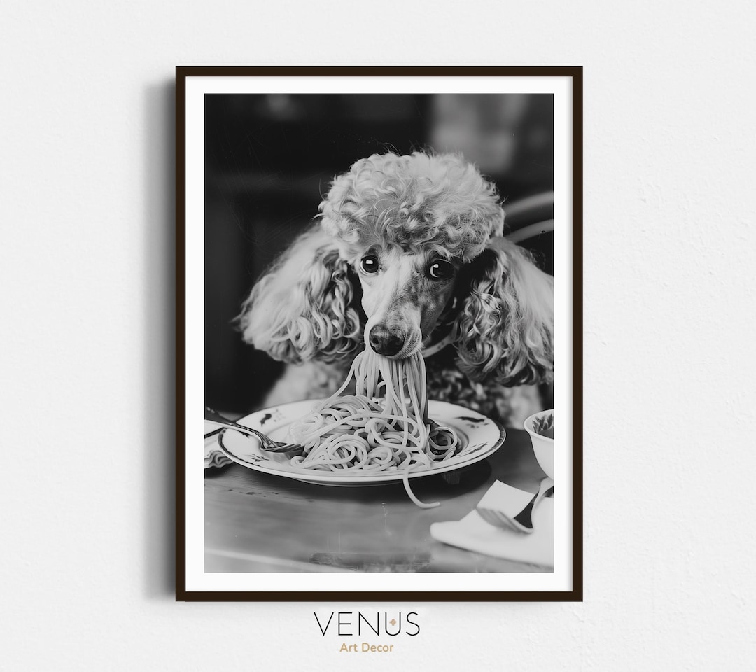 Poodle Dog Eating Pasta, Vintage Poodle Print, Funny Dog Photography ...