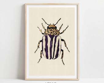 Beetle Wall Art, Insect Decor, Botanical illustration, Insects & Bugs (Digital Dowmload)