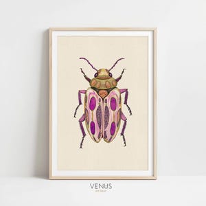 Colorful Beetle Art Print, Nature-Inspired Insect Illustration, Watercolor Bug Wall Decor, Vibrant Entomology Artwork, Bug Print Home Decor