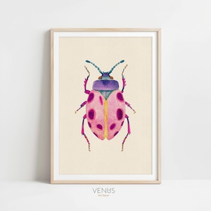 Pink And Purple Beetle Art Print, Vibrant Insect Illustration, Watercolor Bug Wall Decor, Colorful Bug Print, Modern Entomology Home Decor