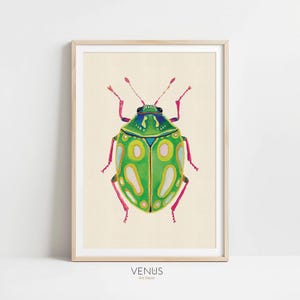 Beetle Wall Art Print, Dopamine Decor Bug Poster, Boho Beetle Art, Insect Print for Kids Room Nursery, Botanical illustration, Bug Art Print