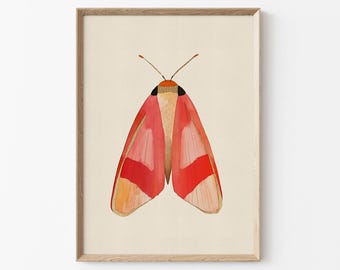 Moth Artwork, Insect Wall Art, Botanical illustration, Insects & Bugs Prints (Digital Download)