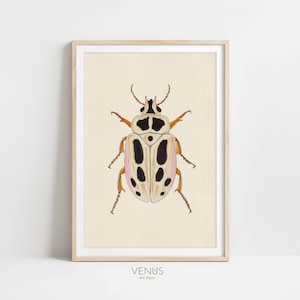 Black And Beige Beetle Art Print, Insect Illustration, Watercolor Bug Wall Decor, Nature-Inspired Artwork, Elegant Entomology Home Decor