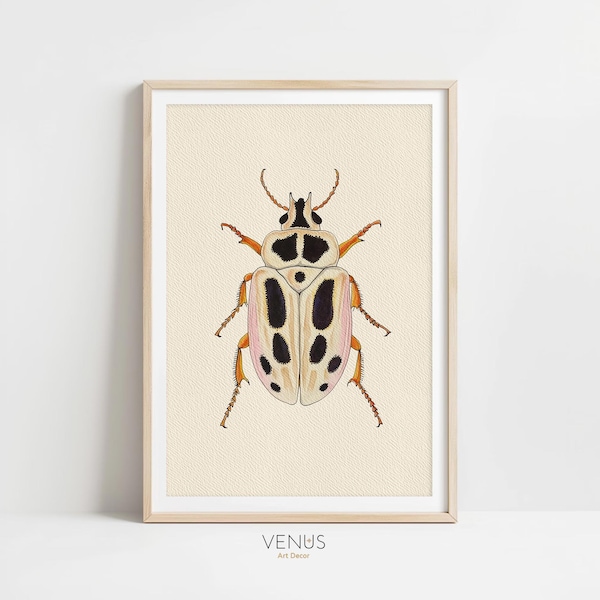 Beetle Print - Etsy