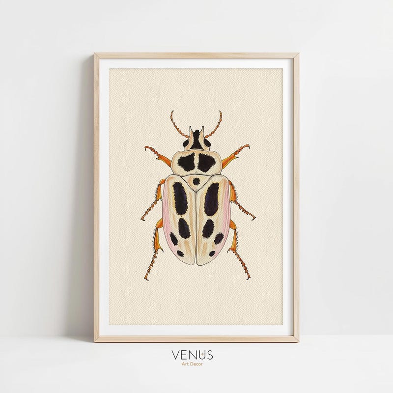 Beetle Print - Etsy