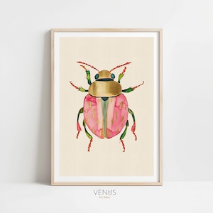 Käfer Illustration, botanische Illustration, Käfer Illustration, Insekten Drucke (Digitaler Download)