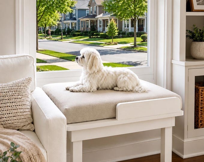 Dog window perch