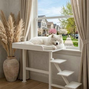 May include: A white pet window perch with a sleeping white dog. The perch has a platform and three-step stairs. The window overlooks a residential street with houses and trees. Beige curtains and a decorative vase are also visible.