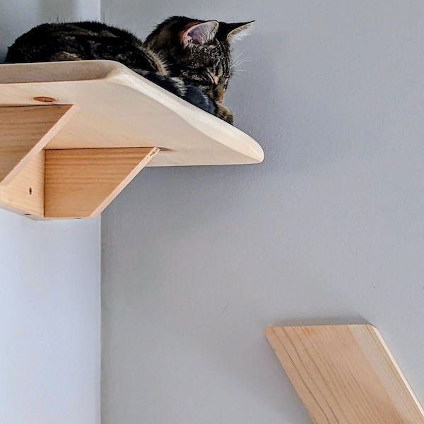 Cat wall bed Modern cat furniture made of natural wood. Cute cat bed with soft cat pillow