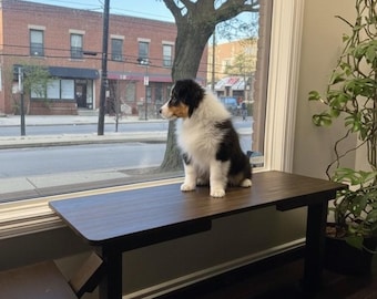 Window Perch for Dogs with Stairs — No-Drill, Easy Install,Handmade in Canada