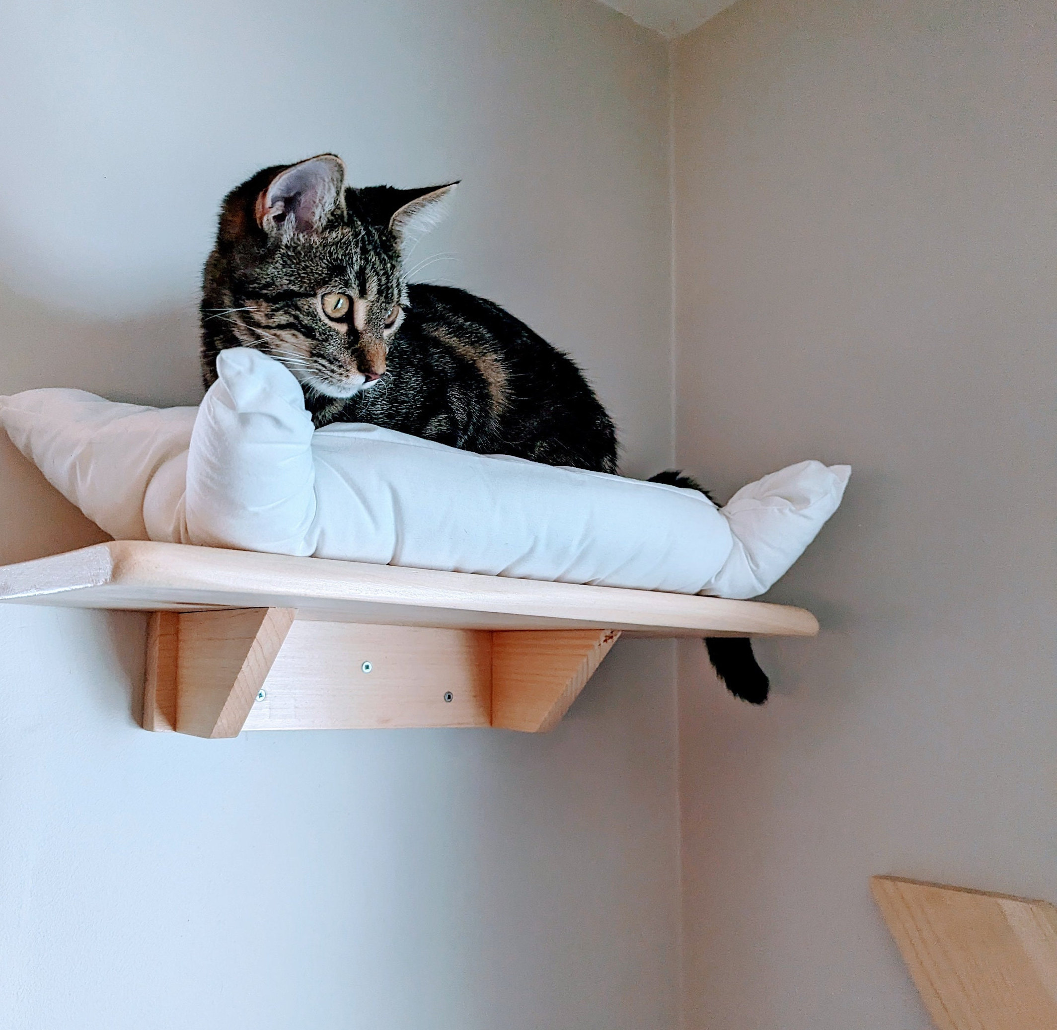 Cat Wall Bed Cat Furniture Made of Natural Wood. Cute Cat Bed With Soft ...