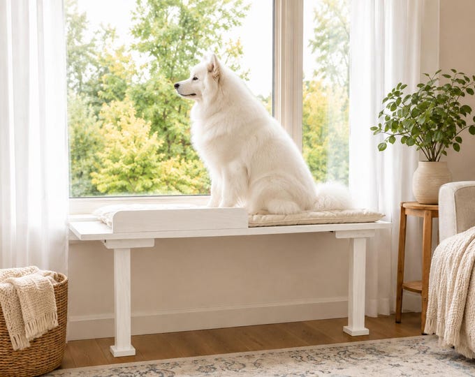 Dog window perch