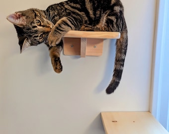 Cat wall furniture Cat wood steps Natural floating shelves