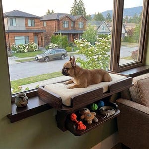 May include: A brown French Bulldog rests on a wooden window-mounted pet bed with a beige cushion. A lower shelf holds dog toys and a leash. The window overlooks a residential street with houses and greenery.